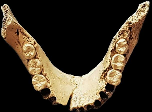 Fossil of Neanderthal teeth found in the Sima de los Hueso cave system.