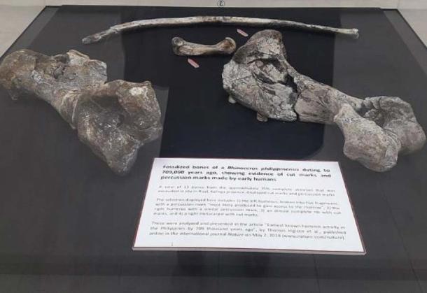 Four of the 13 Rhinoceros Philippinensis bones, with cut and butcher marks, were analyzed and presented in the article 