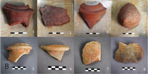 Fragments of amphorae found at the site in the 1960s and examined in the study. (Li Liu / Yongqiang Li / Jianxing Hou)