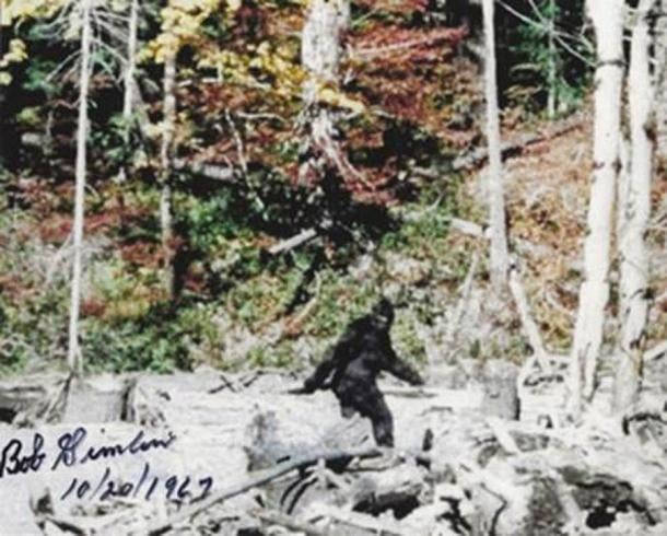 Frame 352 of the Patterson-Gimlin film, alleged to depict a female Bigfoot, shot on October 20, 1967, by Bob Gimlin. (Screenshot / Patterson–Gimlin film)