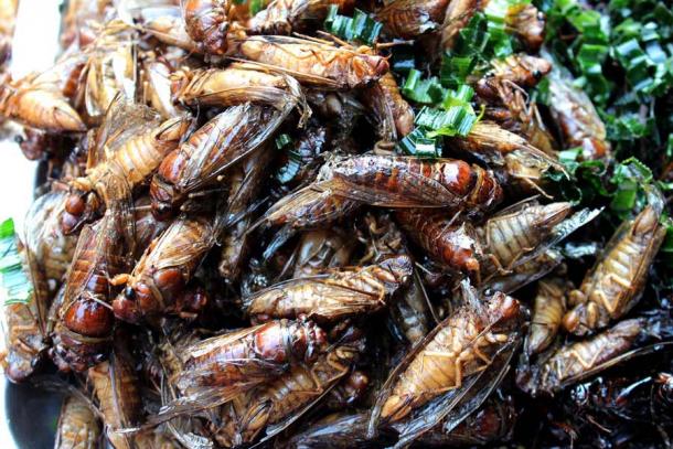Fried cicadas in an herbal dish that looks very appealing or . . .? (Wootipong / Adobe Stock)