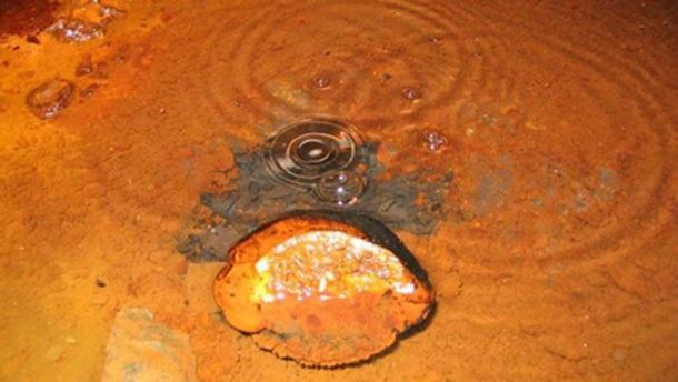 Gas bubbles in the water rising to the surface (Photo Credit: University of Toronto)