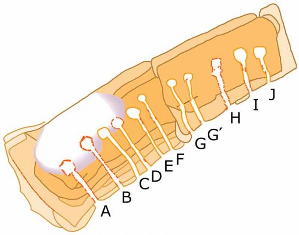 General plan of the Cairn de Barnenez. (Uuetenava / CC BY-SA 4.0)