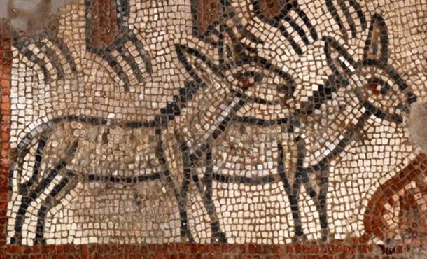 Genesis 6:19: “You are to bring into the ark two of all living creatures, male and female, to keep them alive with you.” This mosaic detail shows two donkeys to be led onto Noah’s ark.