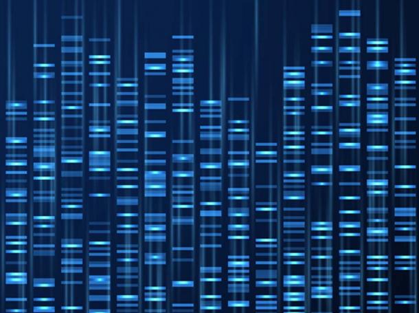 Genomic data visualization. DNA genome sequence, medical genetic map. (MicroOne / Adobe)