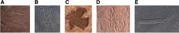 Geoglyphs can be classified into three main types: figurative, geometric, and lineal. (A) “Line-type figurative geoglyphs” were made by removing black stones in a linear pattern exposing the white sand underneath. (B to E) “Relief-type figurative geoglyphs” are often located on slopes and comprise a combination of black stone and white sand surfaces. (Yamagata University Institute of Nasca)