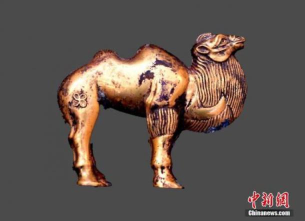 220 More Terracotta Warriors Found in Chinese Emperor's Tomb