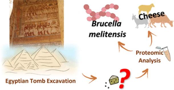 Graffic representing the find and the analysis. Image: Copyright © 2018 American Chemical Society