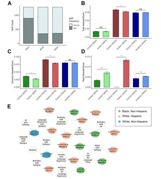 Graphic reveals Total NeanderScores between autism and control groups.