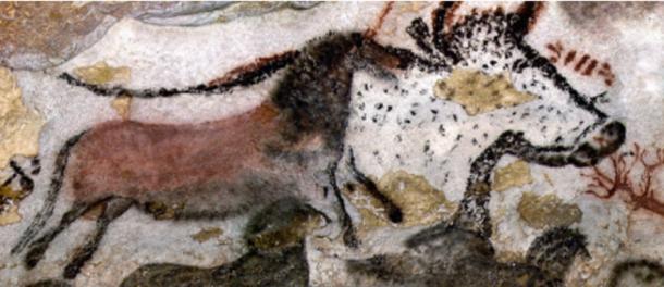 Great Hall of the Bulls, 15,000–13,000 BCE, Paleolithic rock painting, Lascaux, France ©Ministère de la Culture et de la Communication 