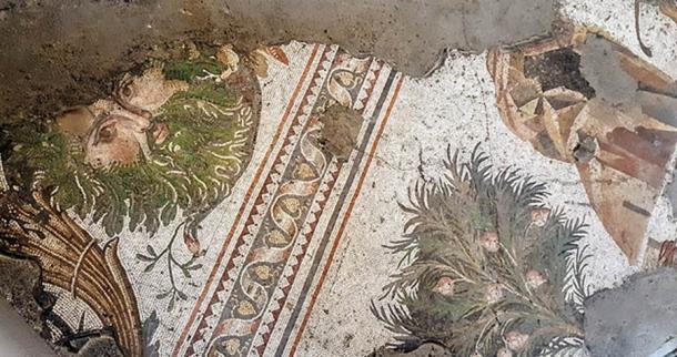 Roman 6th century Green Man mosaic in the Great Palace Mosaic Museum of Istanbul. (disdero/CC BY SA 4.0)