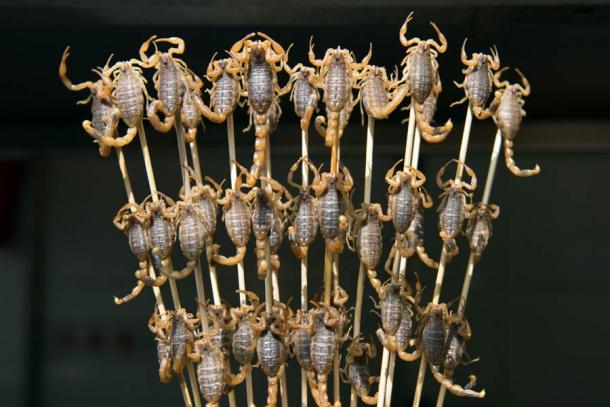 Grilled scorpions on a stick from Wangfujing street, Beijing, China. (Kenishirotie / Adobe Stock)