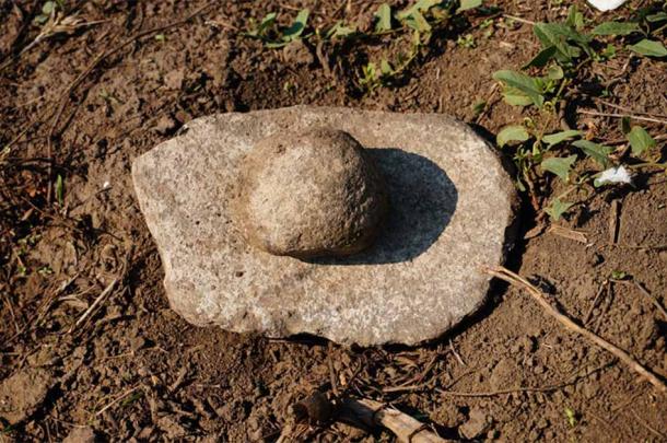 Grinding stone found in the Tisza Site Group area. (UCD)