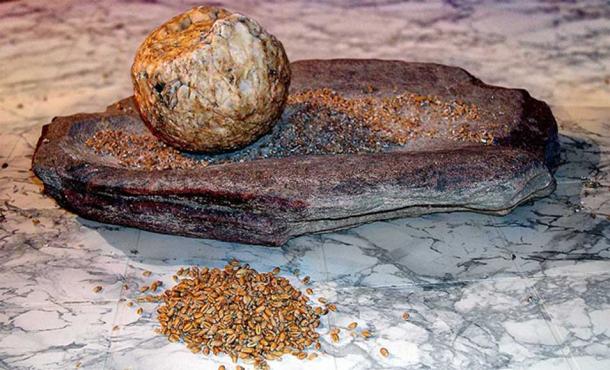 Ground stones from Neolithic were used, usually by women, to grind up grain.