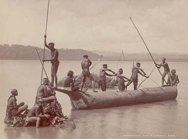 Group of Andaman Men and Women in Costume, Some Wearing Body Paint and with Bows and Arrows, Catching Turtles from Boat on Water. (Public Domain)