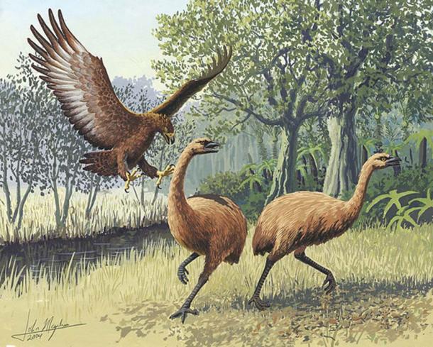 Haast’s eagle attacking New Zealand moa. (John Megahan/CC BY 2.5)