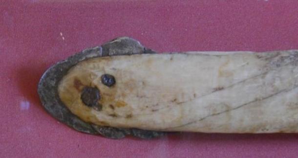 Harpoon tip of the Cape York Peninsula