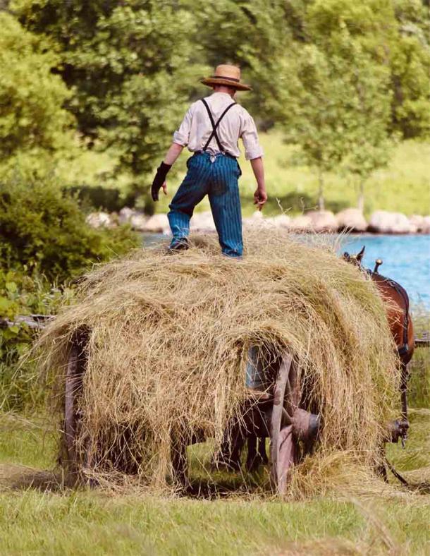 Switchel was a haymaking thirst quencher. Credit: Deb / Adobe Stock