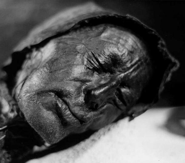 Head of bog body Tollund Man. 