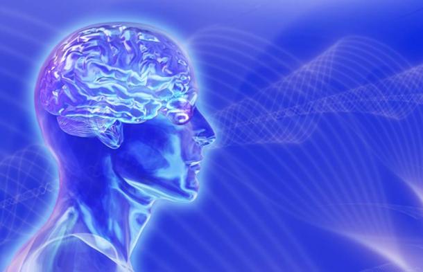 Head with brain on brainwaves background. (AlienCat / Adobe)