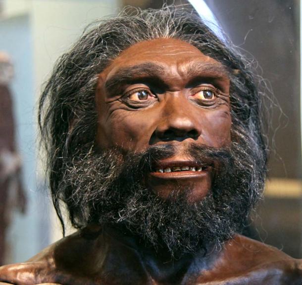 Heidelberg man - facial reconstruction based on the Kabwe skull displayed at the Smithsonian Museum of Natural History. (Tim1965 / CC BY-SA 2.0)