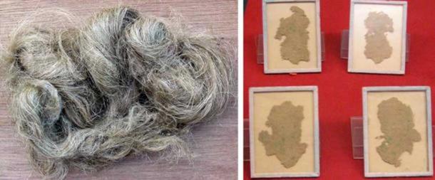 Left: Hemp fiber from the Cannabis sativa plant