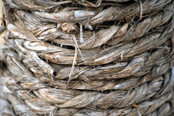 Hemp fibre (public domain)