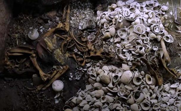 Here you can see the seashells and jaguar bones that were also present at the starfish altar of Tenochtitlán. (YouTube screenshot / INAH TV)