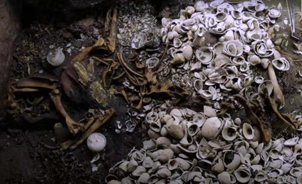 Aquí se pueden ver las conchas y huesos de jaguar que también estuvieron presentes en el altar de estrellas de mar de Tenochtitlán. (Captura de pantalla de YouTube/INAH TV)