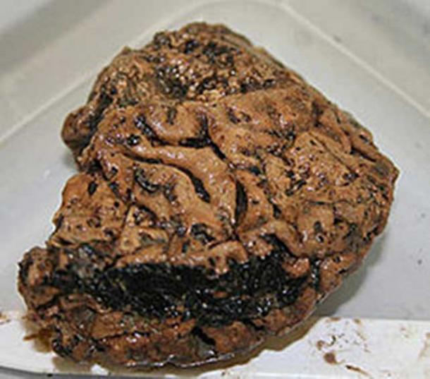 Heslington Brain, discovered to be more than 2,500 years old.