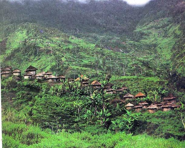 Un pueblo de las Tierras Altas, que salpica la ladera de una montaña en el oeste de Nueva Guinea (Frans Huby/ CC BY-SA 3.0)