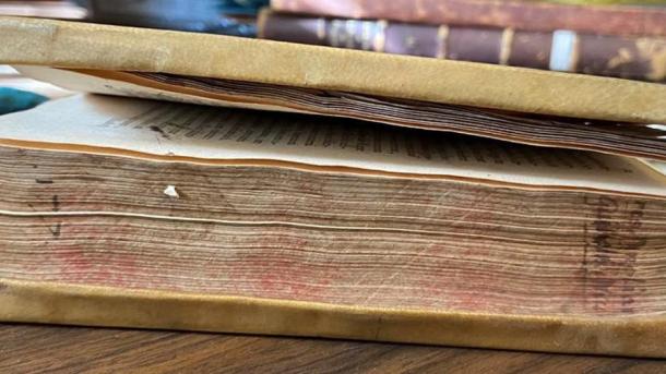 The Historia rerum Anglicarum (History of English Affairs) by William of Newburgh included the story of the Green Children of Woolpit. (USC Libraries)