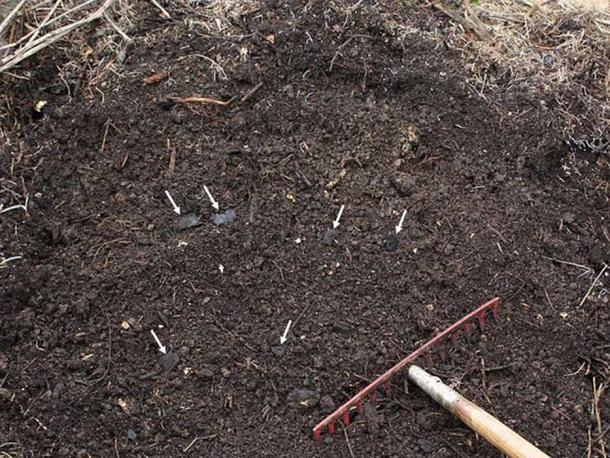 Homemade terra preta: wood charcoal composted together with yard waste, kitchen slops and soil. The charcoal pieces do not decay during fermentation and can be found in the compost when it is done (white arrows). (Holger Casselmann/CC BY SA 3.0)
