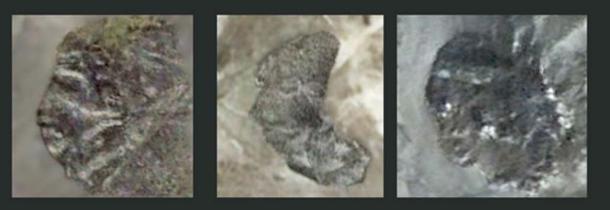 Hominin images, left - right: Figures 2(a), 2(b), and 2(c) – Lucianna. (Author provided)