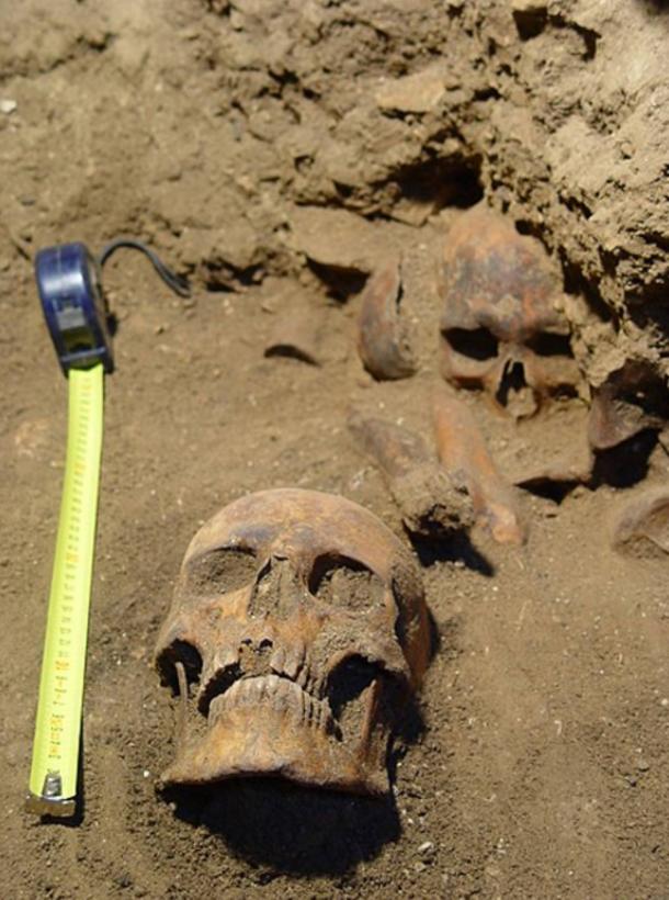 Human remains found at Szelim