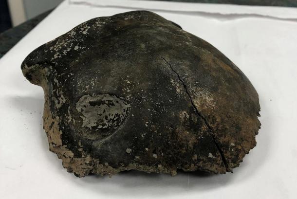 The human skull has been tested and appears to have suffered blunt force trauma. (Renville County Sheriff's Office)