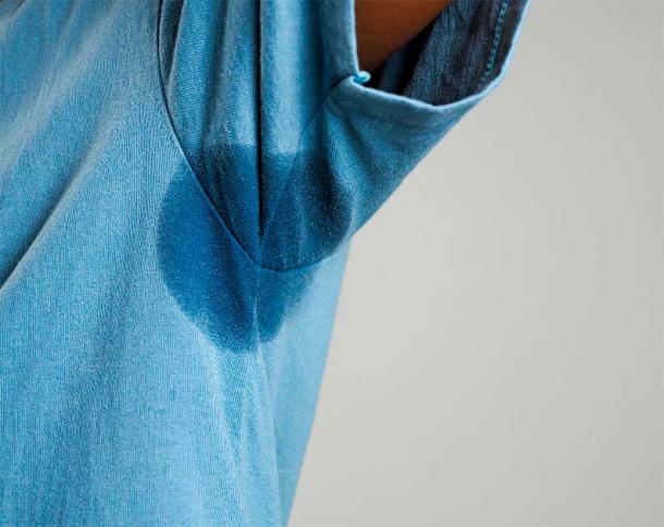 Human body secretions, gathered to make perfume. (MarutStudio/ Adobe Stock)