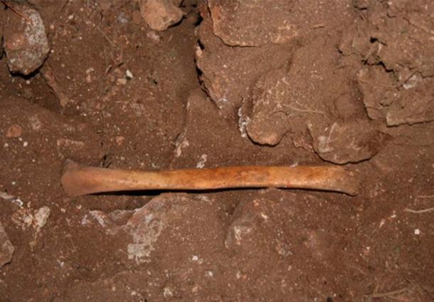 Human bone on surface, inside the cave. (J.C. Vera Rodríguez/ PLoS ONE)
