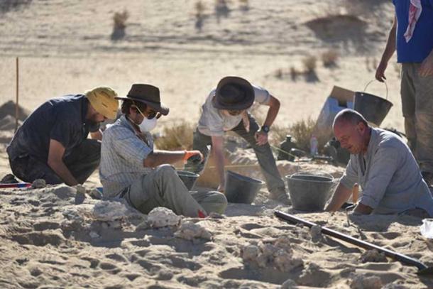 Hundreds of tools and animal bones were found but only one human fossil. (Klint Janulis/Michael Petraglia/Palaeodeserts Project)