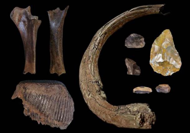 Se han encontrado cientos de huesos de mamut de la estepa: colmillos, dientes, huesos de las piernas y herramientas de piedra, incluido un hacha de mano de piedra (derecha). (DigVentures)
