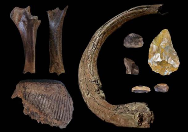 Hundreds of steppe mammoth bones have been found - tusks, teeth, leg bones, as well as stone tools, including a stone hand axe (right). (DigVentures)