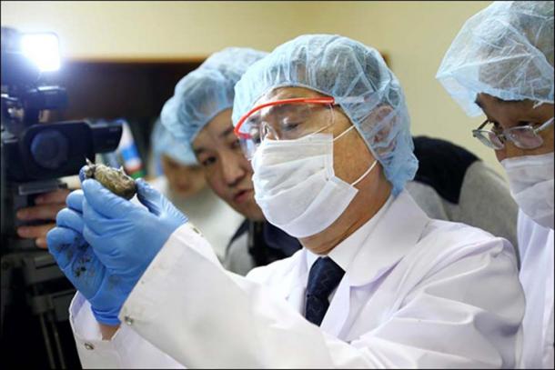 South Korean cloning guru Hwang Woo-suk took is believed to have taken samples from one of the cubs. 