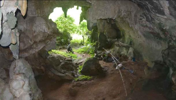 The warty pig cave painting is miraculously well-preserved, probably due to the difficulty associated with access to the area. (A. A. Oktaviana / Griffith University)