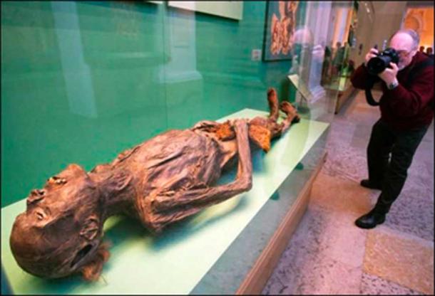 2,300 Year-Old Log Cabin Dug Out Of Permafrost Rebuilds Perfectly