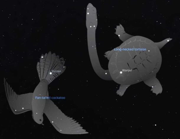 In Wergaia traditions the brothers take the form of animals: Yurree (Castor), the fan-tailed cuckoo, and Wanjel (Pollux), the long-necked tortoise. Stellarium, John Morieson and Alex Cherney
