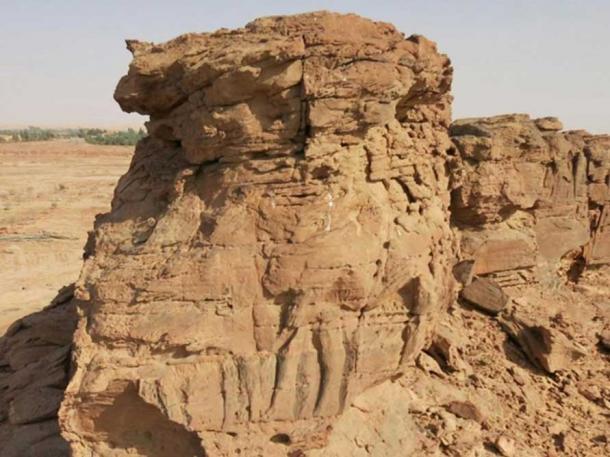Incomplete sculpture of two dromedaries in single file on Spur C at Camel Site, Al Jawf, Saudi Arabia CNRS / MADAJ / R. Schwerdtner