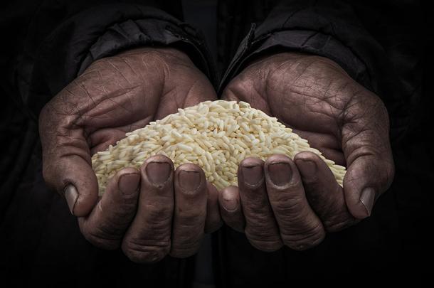 El sabio indio, Acharya Kanad, toma su nombre de una historia en la que recogió granos de arroz esparcidos por el suelo. (Wongvaris/Adobe Stock)