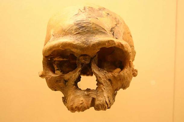 Irhoud 1, approx. 160,000 yrs old, Smithsonian Natural History Museum. (Ryan Somma/CC BY SA 2.0)