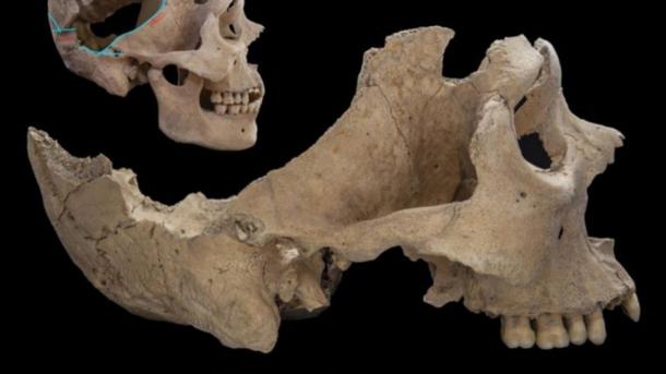 Isotope analysis of tooth enamel revealed where the victims potentially came from. (© Nicolaus Seefeld)