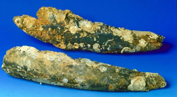 Ivory tusks found at the wreck were radio carbon dated. (The Field Museum)